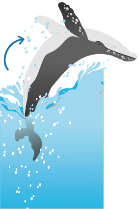 全身で大ジャンプするブリーチ