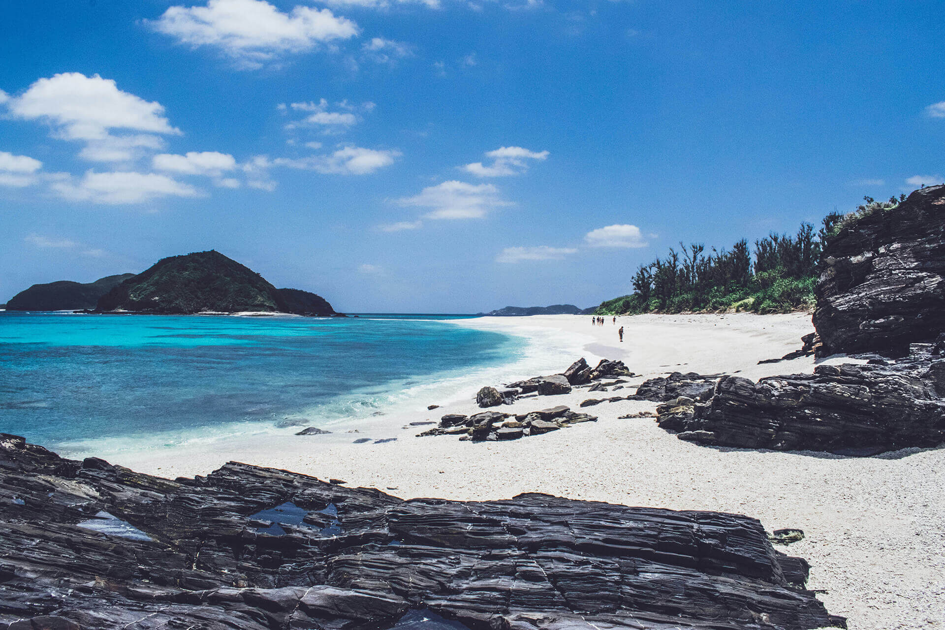 お客様に応援されるクジラの保護活動を次世代へつなげる