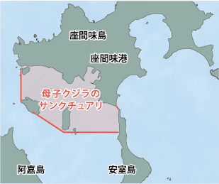 設定区域：座間味島